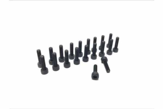 Extreme Cup Head Screw set M4x15 (20)