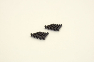 Hex Flat Head Screws 3x16mm (10)