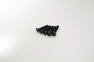 Hex Flat Head Screws 4x20mm (5)