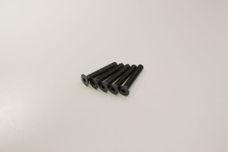 Hex Flat Head Screws 4x25mm (5)