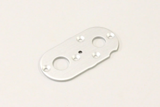 MOTOR PLATE SCORPION 2014