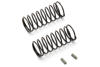 FT 12mm Front Springs, gray, 3.45 lb