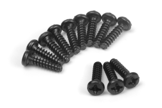 Samořezné šroubky s plochou hlavou PBHO 3x12mm (12 ks)
