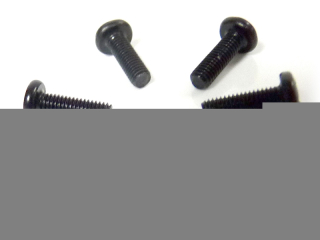 Šroub s půlkulatou hlavou 3x10 mm (6 ks)